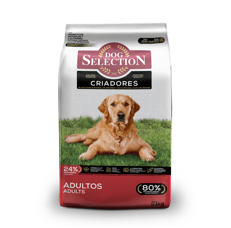 Royal Canin Maxi Adult